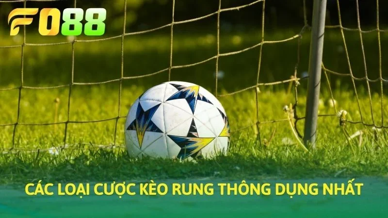 Các loại cược kèo rung thông dụng nhất